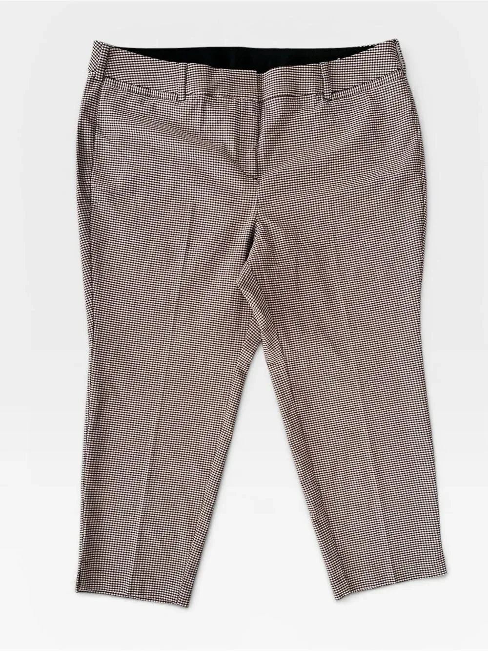 🎉5 for $45🎉 Lane Bryt pants size 22P